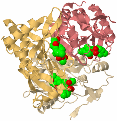 Image Biological Unit 3