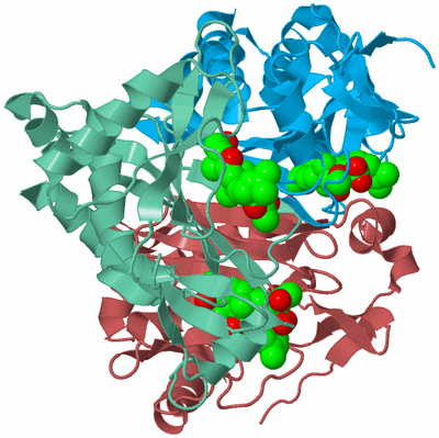 Image Biological Unit 4