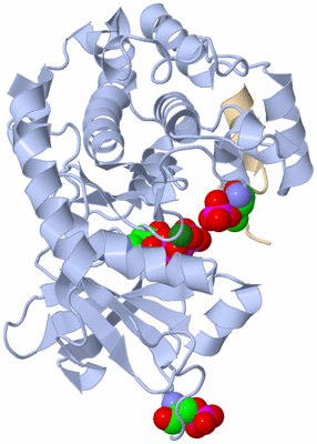 Image Asym./Biol. Unit