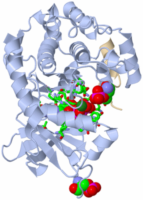 Image Asym./Biol. Unit - sites