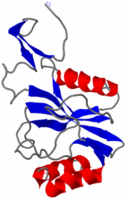 Image NMR Structure - model 1