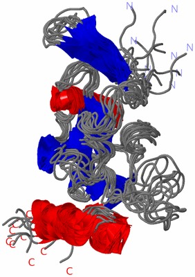 Image NMR Structure - all models