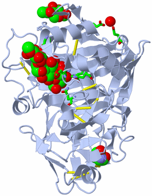 Image Biol. Unit 1 - sites