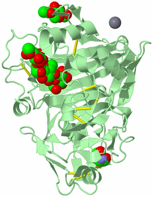 Image Biological Unit 2