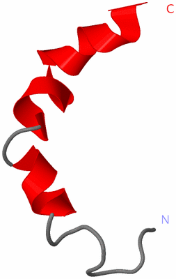 Image NMR Structure - model 1