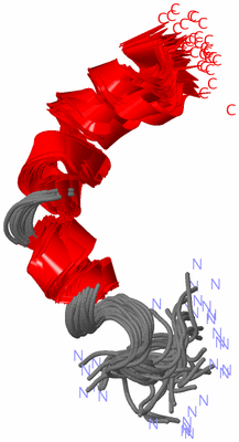 Image NMR Structure - all models