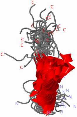 Image NMR Structure - all models