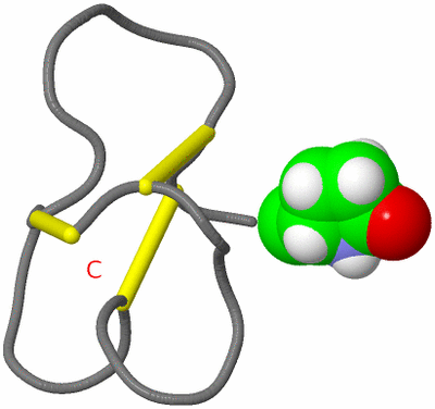 Image NMR Structure - model 1