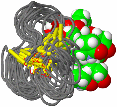 Image NMR Structure - all models