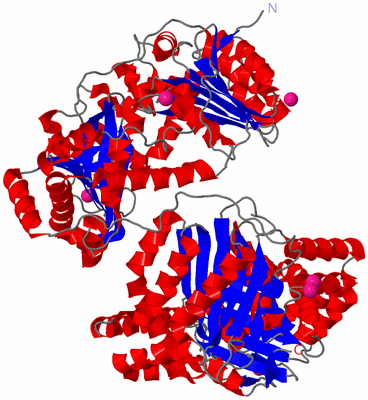 Image Asym./Biol. Unit