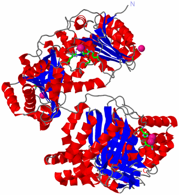 Image Asym./Biol. Unit - sites