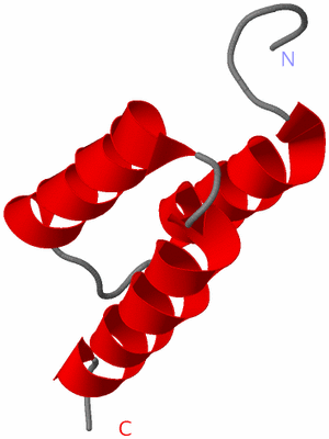 Image NMR Structure - model 1