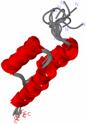 Image NMR Structure - all models
