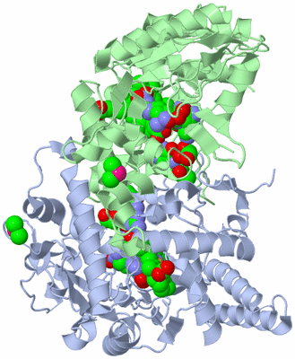 Image Asym./Biol. Unit