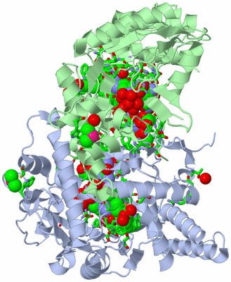 Image Asym./Biol. Unit - sites