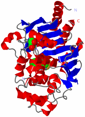 Image Asym./Biol. Unit