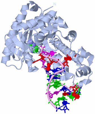 Image Biological Unit 1