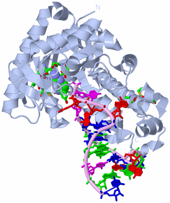 Image Biol. Unit 1 - sites