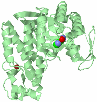 Image Biological Unit 2