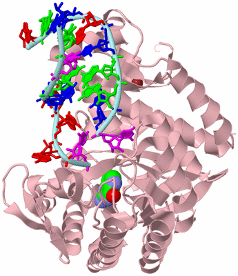 Image Biological Unit 3