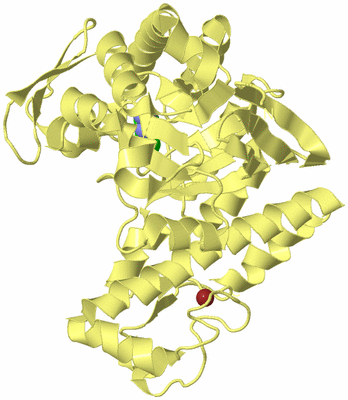 Image Biological Unit 4