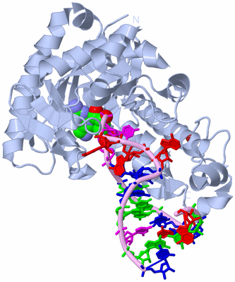 Image Biological Unit 1