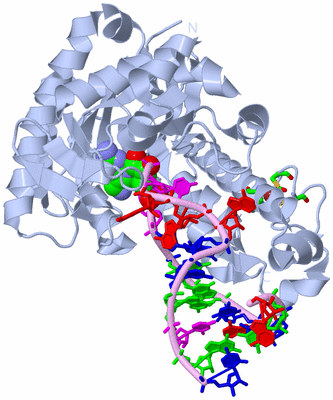 Image Biol. Unit 1 - sites