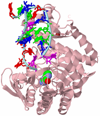 Image Biological Unit 3