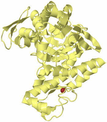 Image Biological Unit 4