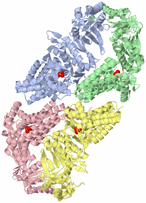 Image Asymmetric Unit