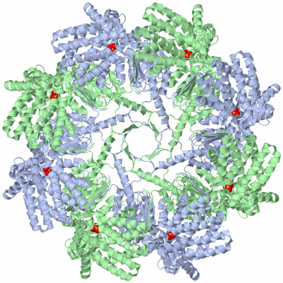 Image Biological Unit 2