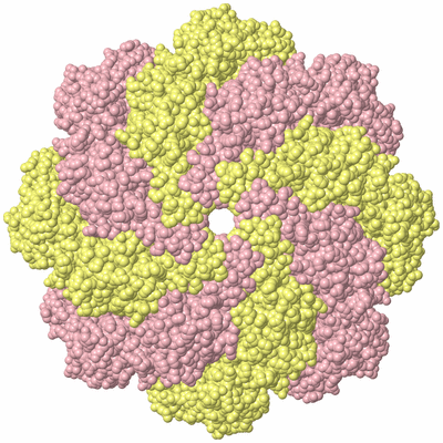 Image Biological Unit 3