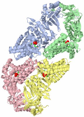 Image Asym. Unit - sites