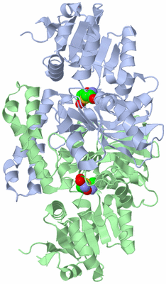 Image Asym./Biol. Unit