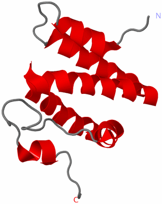 Image NMR Structure - model 1