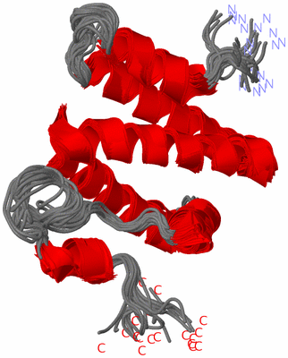 Image NMR Structure - all models