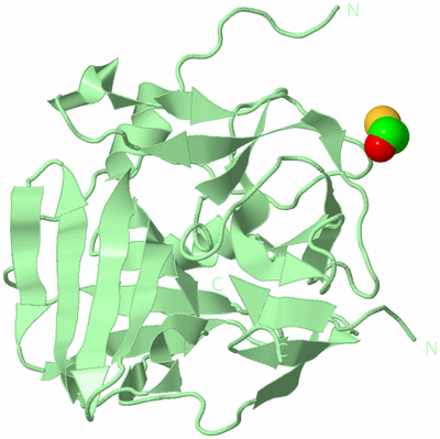 Image Biological Unit 2