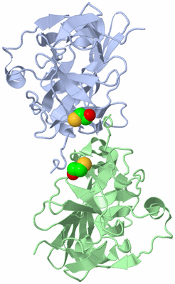 Image Biological Unit 3