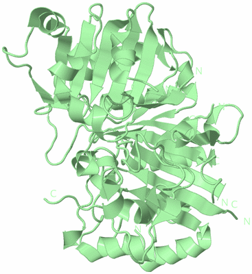 Image Biological Unit 2