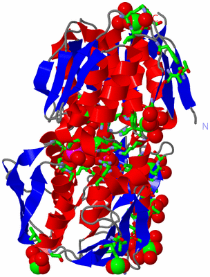 Image Asym./Biol. Unit - sites