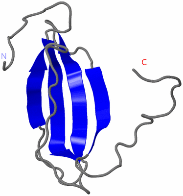 Image NMR Structure - model 1