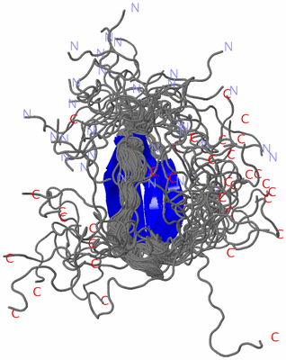 Image NMR Structure - all models