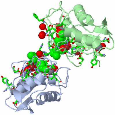 Image Biol. Unit 1 - sites