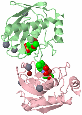 Image Biological Unit 2