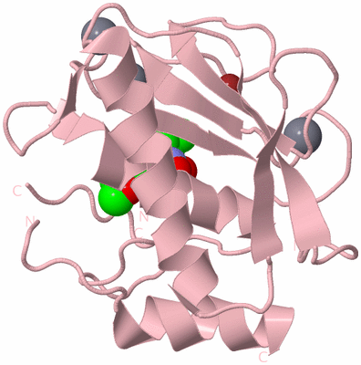 Image Biological Unit 3