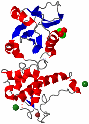 Image Asym./Biol. Unit