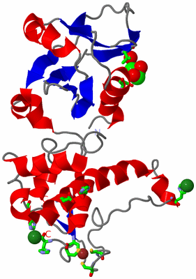 Image Asym./Biol. Unit - sites