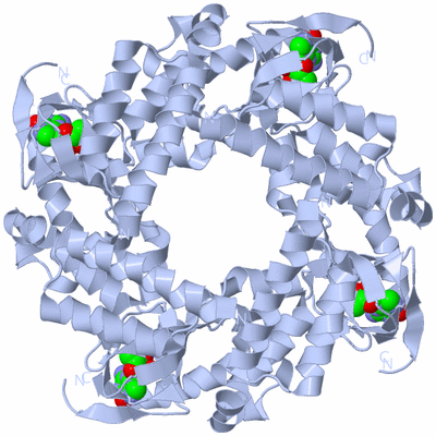 Image Biological Unit 1