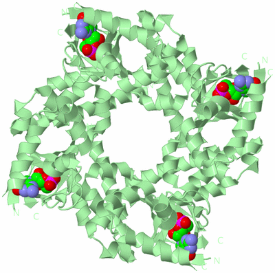 Image Biological Unit 2