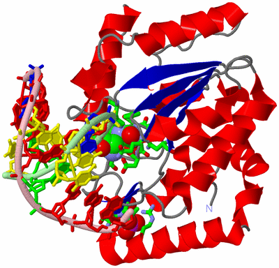 Image Asym./Biol. Unit - sites